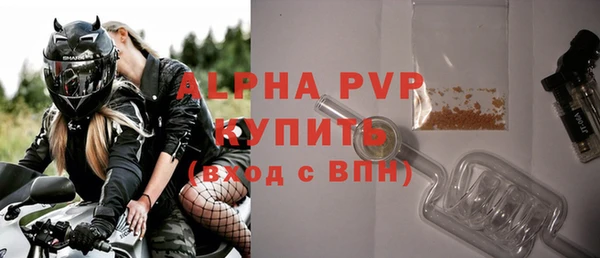 гашик Корсаков