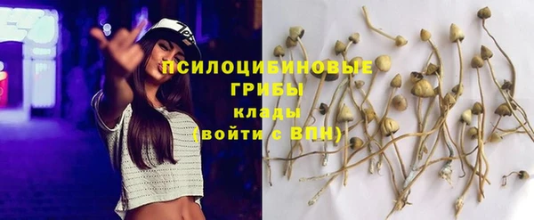 трава Краснослободск