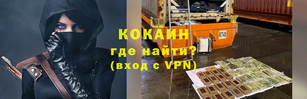 гашик Корсаков