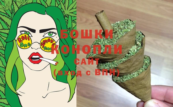 гашик Корсаков