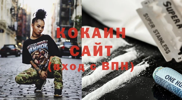 гашик Корсаков