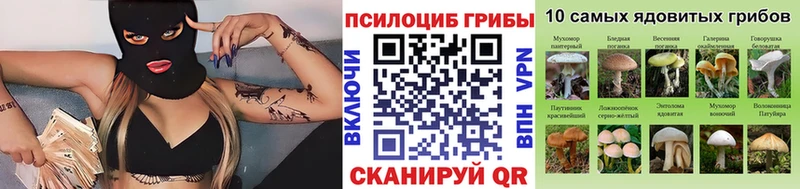Псилоцибиновые грибы мицелий Суровикино